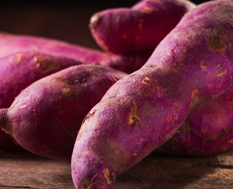 Batata-doce