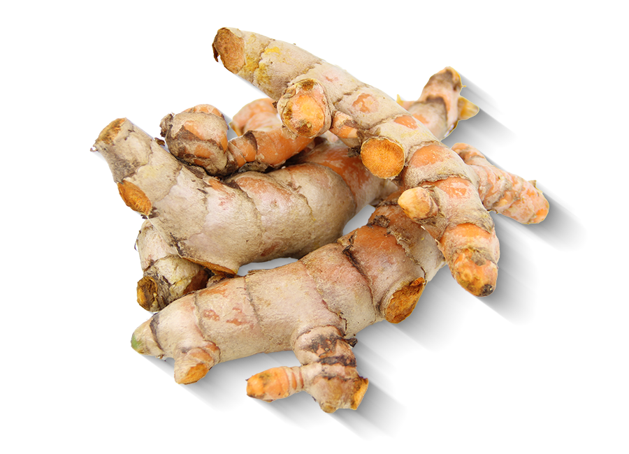produtores rurais e empresários rurais